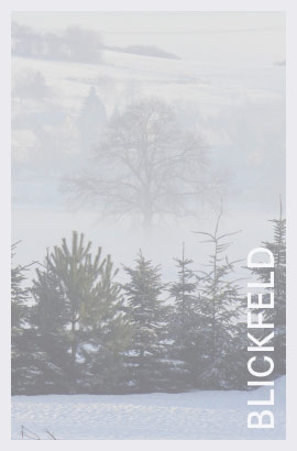 Winterlandschaft - Das Blickfeld, Schmuckbild by DERBLICK Kommunikations Design